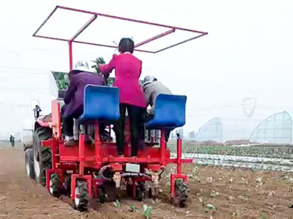 兩行牽引式甘藍(lán)移栽機(jī)